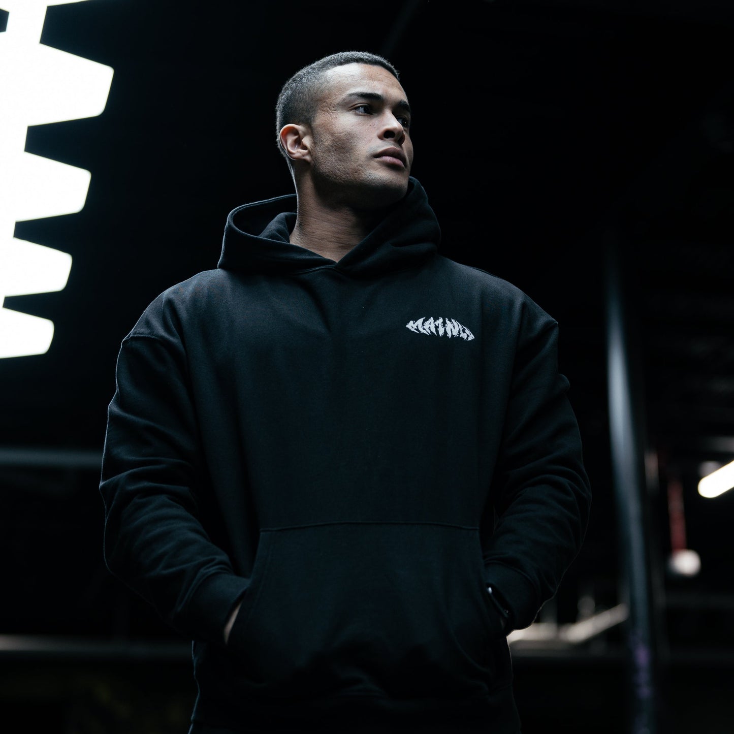 Icarus Long Sleeve Hoodie